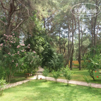 фото из отзыва ID 1985223