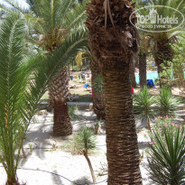 фото из отзыва ID 1985314