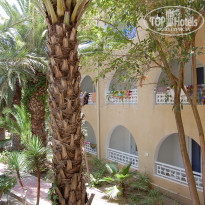 фото из отзыва ID 1985314