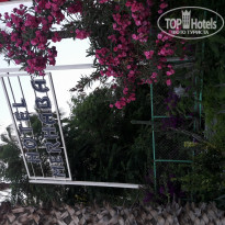 фото из отзыва ID 1985437