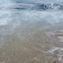 фото из отзыва ID 1985432