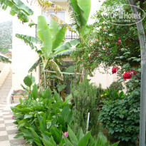 фото из отзыва ID 1985469