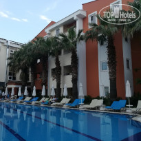 фото из отзыва ID 1985420