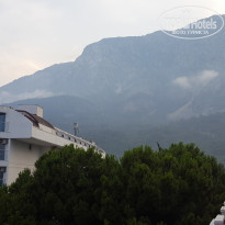 фото из отзыва ID 1983325