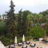 фото из отзыва ID 1983325