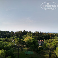 фото из отзыва ID 1985484