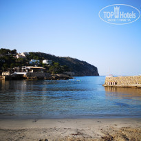 фото из отзыва ID 1985495