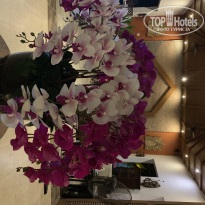 фото из отзыва ID 1985510