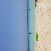 фото из отзыва ID 1985523