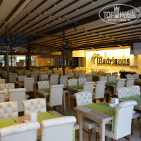 фото из отзыва ID 1985532