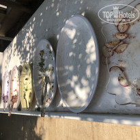 фото из отзыва ID 1985587