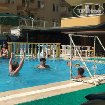 фото из отзыва ID 1985560