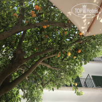 фото из отзыва ID 1985627