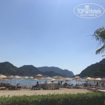 фото из отзыва ID 1985699