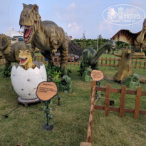 фото из отзыва ID 1985772