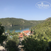 фото из отзыва ID 1985809