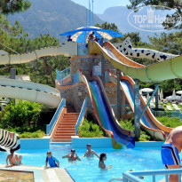 фото из отзыва ID 1985852