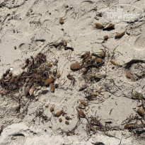 фото из отзыва ID 1985864