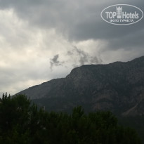 фото из отзыва ID 1985888