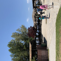 фото из отзыва ID 1985968