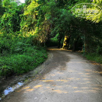 фото из отзыва ID 1986036