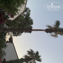 фото из отзыва ID 1986098