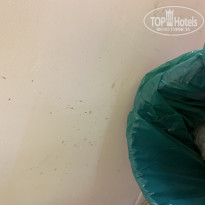 фото из отзыва ID 1986098