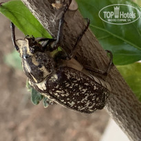 фото из отзыва ID 1986098