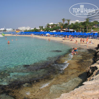 фото из отзыва ID 1986151