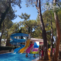 фото из отзыва ID 1986162