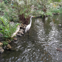 фото из отзыва ID 1985953