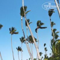 фото из отзыва ID 1985953