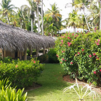 фото из отзыва ID 1985953