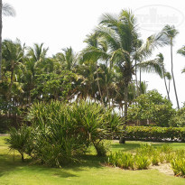 фото из отзыва ID 1985953