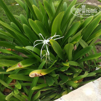 фото из отзыва ID 1985953