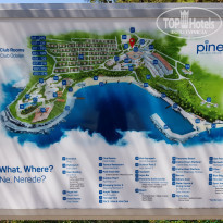 фото из отзыва ID 1986332