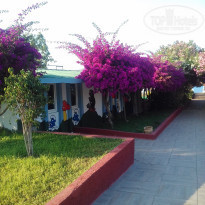 фото из отзыва ID 1986260