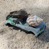 фото из отзыва ID 1986457