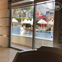 фото из отзыва ID 1986469