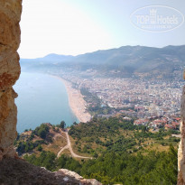 фото из отзыва ID 1986519