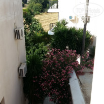 фото из отзыва ID 1986677