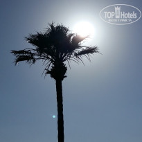 фото из отзыва ID 1986677