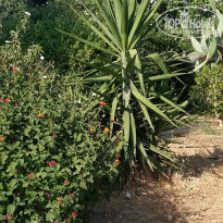 фото из отзыва ID 1986677