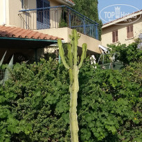 фото из отзыва ID 1986677