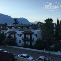 фото из отзыва ID 1986681