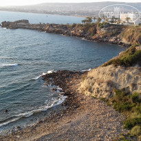 фото из отзыва ID 1986691