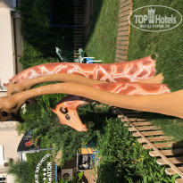 фото из отзыва ID 1986710