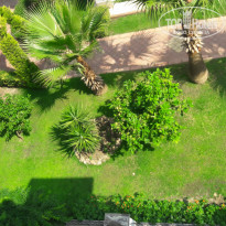 фото из отзыва ID 1986758