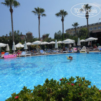 фото из отзыва ID 1987017