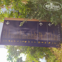 фото из отзыва ID 1986829